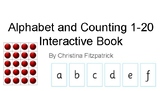 Alphabet + Counting 1-20 Interactive Book Matching Special