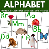 Alphabet Picture Word Cards ABC Cards with Real Pictures B