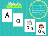 Alphabet Flashcards with and without pictures