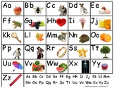 Alphabet/Letter Anchor charts for kindergarten literacy