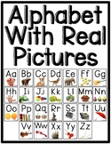 Alphabet Letter Posters with REAL photos (Beginning Sounds)
