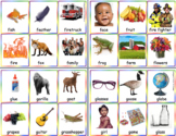 Alphabet, Letter Vocabulary Cards