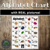 Alphabet Linking Charts - Real Pictures