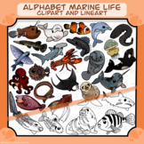 Alphabet Marine Life Clipart and Lineart