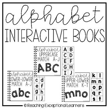 Preview of Alphabet Match Adapted Books