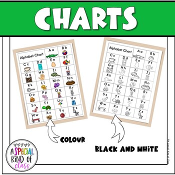 Alphabet Charts (Alphabet Letters Posters)