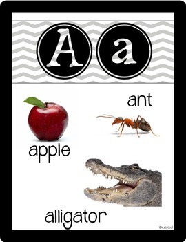 Alphabet Photo Posters by Christine Statzel | Teachers Pay Teachers