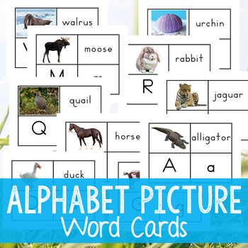 Preview of Alphabet Picture Cards