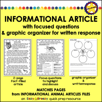 Preview of NON-FICTION TEXT AND GRAPHIC ORGANIZER