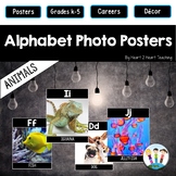 Alphabet Posters: Animals with Real-Life Photos (A to Z)