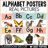 Alphabet Posters Cards Real Pictures | Boho Classroom Decor