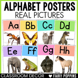 Alphabet Posters Cards Real Pictures | Colorful Classroom Decor