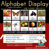 Alphabet Posters | Manuscript |  With Photographs | Small 
