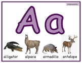 Alphabet Posters/Mats, Reggio, 2 of each Upper and lower case