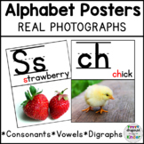 Alphabet Posters Real Photographs | Real Pictures | Conson
