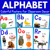 Alphabet Posters Real Pictures Colorful Classroom Decor Sp