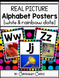 Alphabet Posters {White & Rainbow Dot Theme}