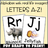 Alphabet Posters with Real Life Images
