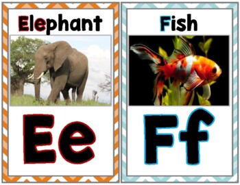 zoo phonics real alphabet pictures wall cards by jen wood tpt
