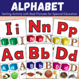 Alphabet Sort with Real Pictures | Beginning Letter Sounds