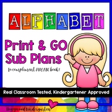 Sub Plans!  Print & GO!  Awesome activities to accompany A