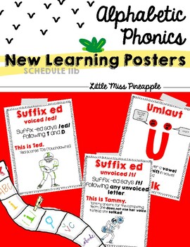 Preview of Alphabetic Phonics New Learning Posters - Schedule IIb