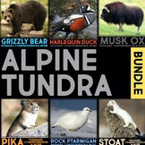 Alpine Tundra Biome Nonfiction Animal Research, Comprehens