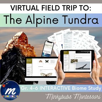Preview of Alpine Virtual Trip Tundra Biome - Virtual Field Trip and Visit - Click and Go!