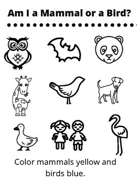 Which Bird Is A Mammal