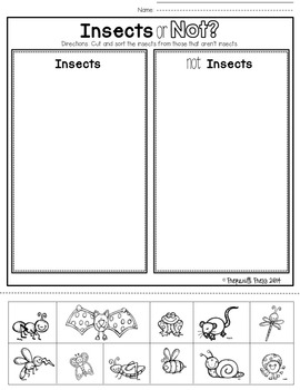 Am I An Insect? Interactive Emergent Reader & Worksheet by Preparilli Press
