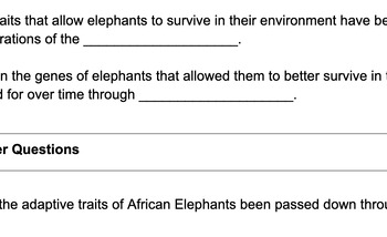 Amazing African Elephants: Article and Questions (Adaptations, natural