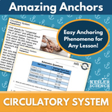 Amazing Anchors Phenomenon Pages - Circulatory System