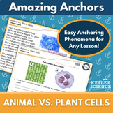 Amazing Anchors Phenomenon Pages - Animal vs Plant Cells