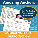 Amazing Anchors Phenomenon Pages - Asexual vs Sexual Reproduction