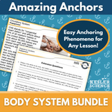 Amazing Anchors Phenomenon Pages - Body Systems Bundle