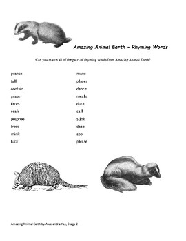 Animal Rhyming Words Teaching Resources | TPT