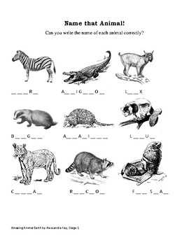 Amazing Animals Vocabulary Teaching Resources | TPT