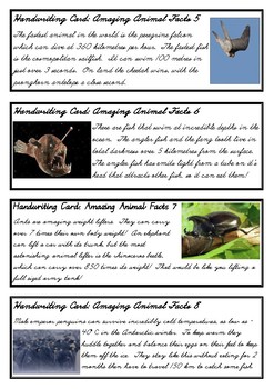 Amazing Animal Facts - Fun handwriting practice - D'Nealian Cursive