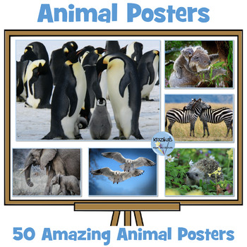 Animal Posters by Inspire and Educate | TPT