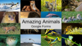 Amazing Animals: 16 Google Forms