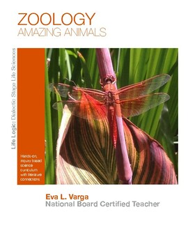 Preview of Amazing Animals - Zoology Unit Study