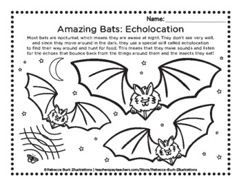 Preview of Amazing Bats: Echolocation Coloring Page Worksheet