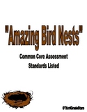 Amazing Bird Nests Assessment Reading Street Third Grade