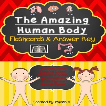 my amazing human body game online