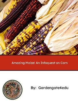 Preview of Maize!  A nonfiction Reading Passage and Infoquest Activity for Thanksgiving