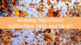 Amazing Migrations: Butterflies, Bats, and Birds Vocabular