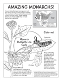 Amazing Monarchs coloring page