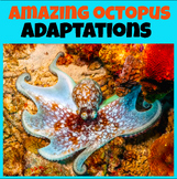 Amazing Octopus Adaptations