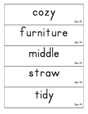 Amazing Words Grade 1 Units R-5 word cards