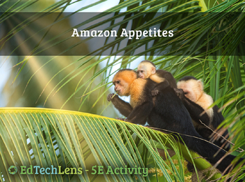 Amazon Rainforest Food Web Worksheets Teaching Resources Tpt